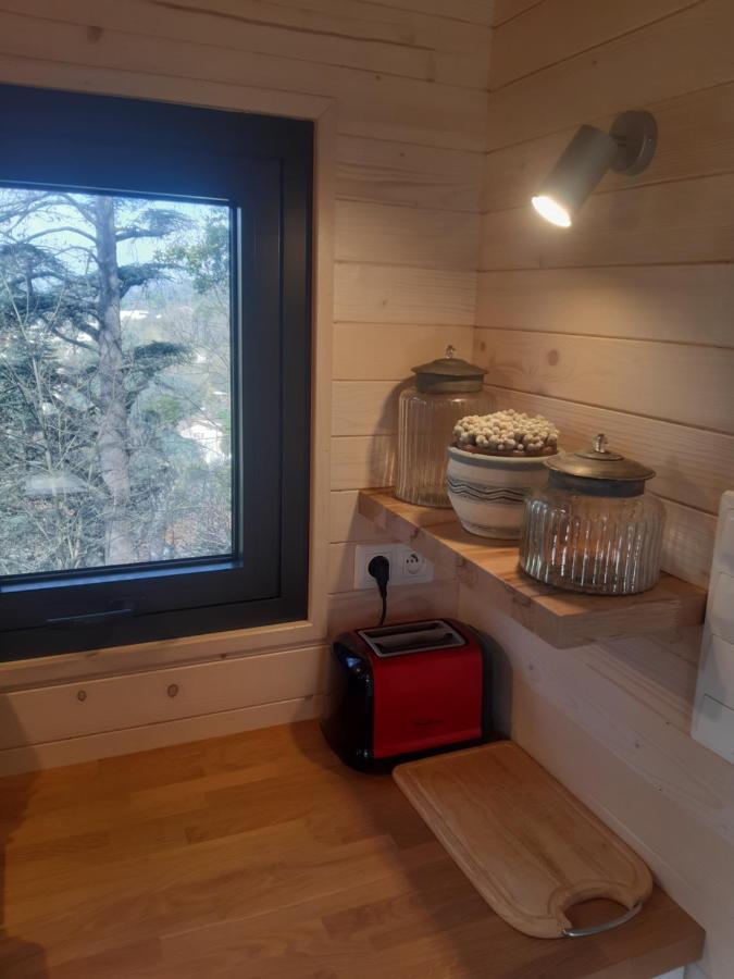 Micro Maison Bois / Tiny House Au Calme Crest Exterior foto